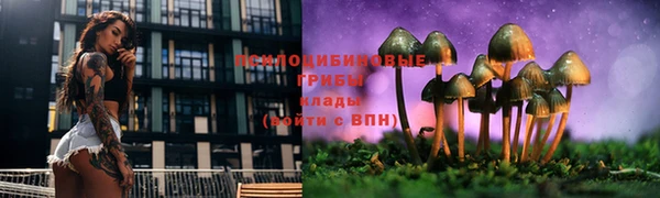твердый Краснослободск