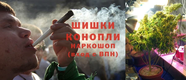 твердый Краснослободск