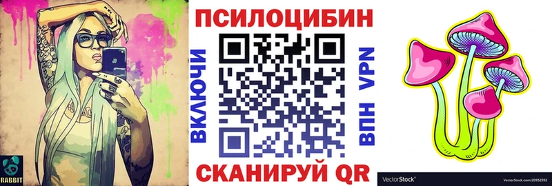 Псилоцибиновые грибы Psilocybine cubensis  Краснознаменск 